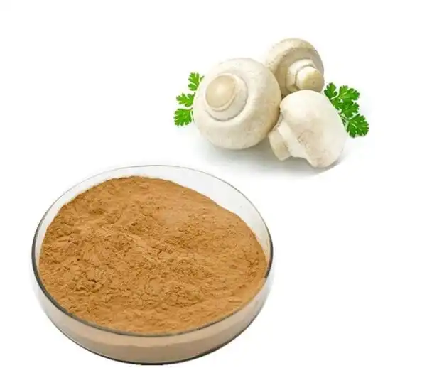 Agaricus Bisporus Extract Agaricus Bisporus Extract